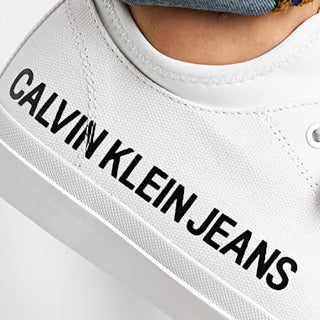 CAlvin klein kediņas