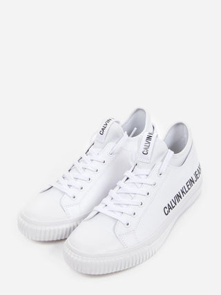 CAlvin klein kediņas